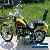 Harley-Davidson: Softail Custom for Sale