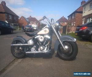 Harley Davidson Evo Softail bobber chopper 