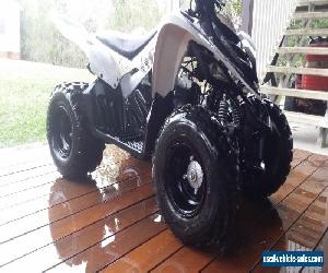 Yamaha 90 Raptor Quad- As New. Less Than 5 Hours Use. Brisbane