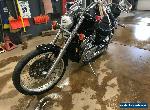 1988 Suzuki Intruder for Sale