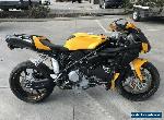 DUCATI 999 LIMITED EDITION SOCCEROOS 2006 MODEL PROJECT MAKE AN OFFER for Sale