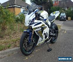 GSXR 1000 K9 2010 for Sale