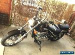 Suzuki 2009 Intruder LC VL250 LAMS Approved 4555 Kms for Sale