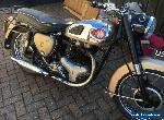 BSA  for Sale