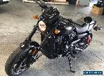 2019 HARLEY DAVIDSON STREET ROD 750  rego and rwc only 547kms for Sale