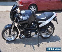 1999 Buell Lightning for Sale