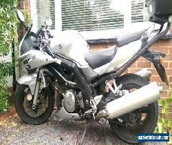 FANTASTIC SUZUKI SV1000s for Sale