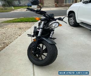 2019 Honda Rebel CMX500 LAMS Motorbike CMX500AKUGR1