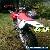 Honda CRF 450X for Sale