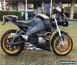 Buell XB12r 2004 for Sale