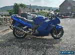 Honda Blackbird CBR1100xx with Sidecar for Sale