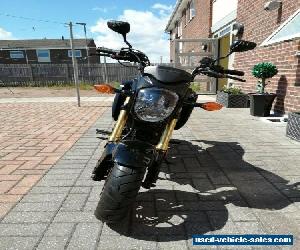 Honda MSX125 Grom