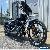 2015 Harley-Davidson Softail for Sale