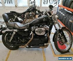 Harley Davidson Sportster Project Bike 1200C for Sale