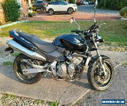 Honda Hornet 600cc CB600 LONG MOT ,SERVICED for Sale