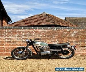 1967 Triumph TR6 Scrambler 650 Desert Sled McQueen TR6C Era 