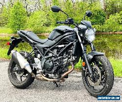 2020 Suzuki SV for Sale