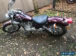 1996 Yamaha virago 250cc cruiser with 12 months rego - great bike!! for Sale