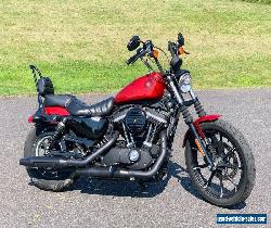 2019 Harley-Davidson Sportster for Sale