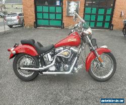 2001 Indian INDIAN GILROY SCOUT 100 for Sale