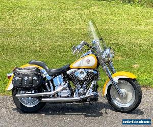 1995 Harley-Davidson Softail