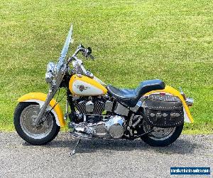 1995 Harley-Davidson Softail