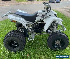 Yamaha Blaster 200cc, banshee raptor