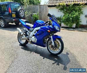 Suzuki SV1000 for Sale