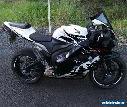 2010 CBR600RR Leyla for Sale