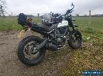 Ducati Scrambler Urban Enduro  for Sale