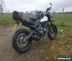 Ducati Scrambler Urban Enduro  for Sale