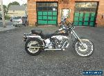 1989 Harley-Davidson Softail for Sale