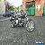 1989 Harley-Davidson Softail for Sale