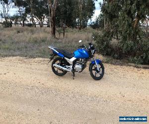 Honda CB125E Perfect Learners Bike 2017 Great Condition