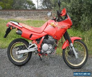 1992 HONDA NX650 DOMINATOR, LOW Ks FOR AGE, FANTASTIC CONDITION! LAMS APPROVED