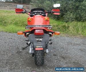 1992 HONDA NX650 DOMINATOR, LOW Ks FOR AGE, FANTASTIC CONDITION! LAMS APPROVED