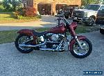 1997 Harley-Davidson Softail for Sale