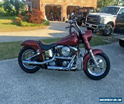 1997 Harley-Davidson Softail for Sale