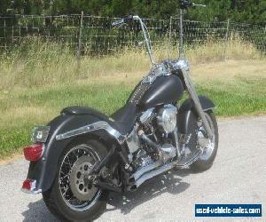 1992 Harley-Davidson Softail