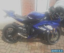 YAMAHA YZF R6 for Sale