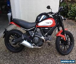 Ducati Icon Scrambler 803cc for Sale