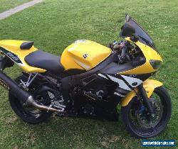 2003 Yamaha R6 special edition yellow  for Sale