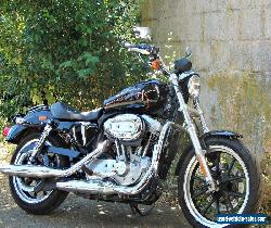 Harley Davidson 883 low for Sale