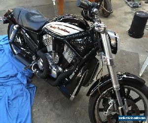 Harley Davidson V Rod 2005