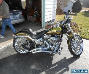 2013 Harley-Davidson Softail