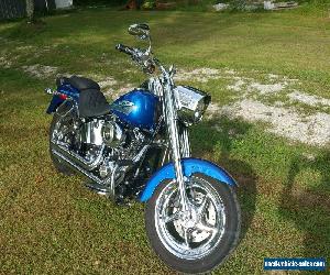 2009 Harley-Davidson Softail