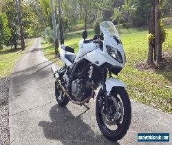 Suzuki SV650 LAMs Approved for Sale