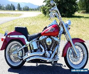 2006 Harley-Davidson Softail