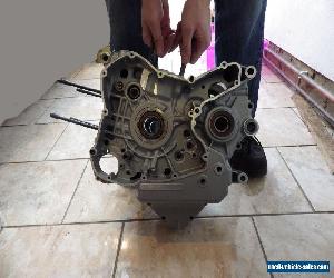 Ducati 1198 crankcases