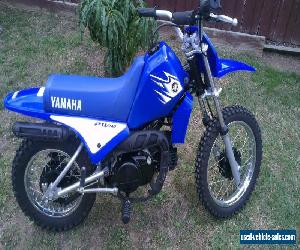 Yamaha PW80